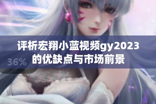 评析宏翔小蓝视频gy2023的优缺点与市场前景