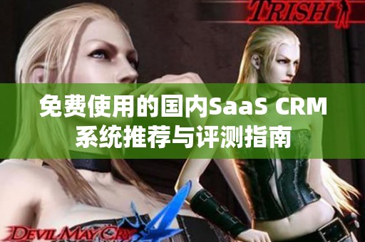 免费使用的国内SaaS CRM系统推荐与评测指南