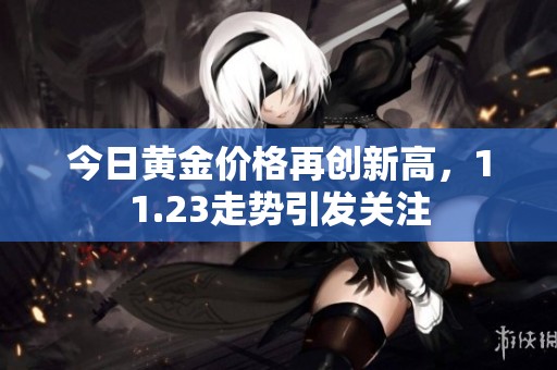 今日黄金价格再创新高，11.23走势引发关注