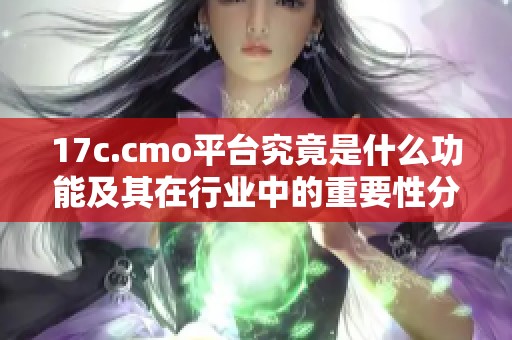 17c.cmo平台究竟是什么功能及其在行业中的重要性分析