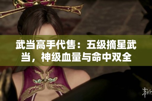 武当高手代售：五级摘星武当，神级血量与命中双全