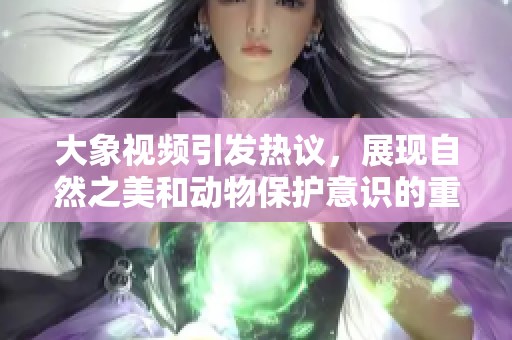 大象视频引发热议，展现自然之美和动物保护意识的重要性