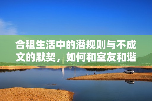 合租生活中的潜规则与不成文的默契，如何和室友和谐相处的技巧分享