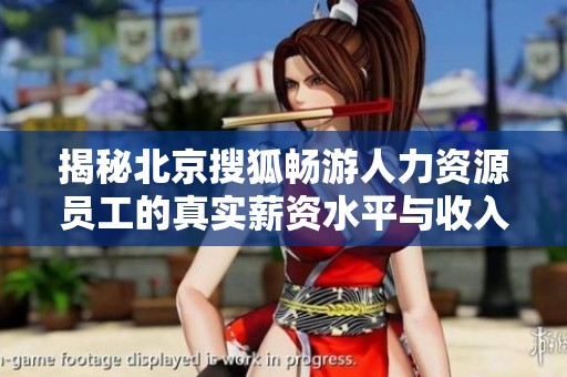 揭秘北京搜狐畅游人力资源员工的真实薪资水平与收入结构