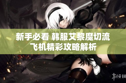 新手必看 韩服艾黎魔切流飞机精彩攻略解析