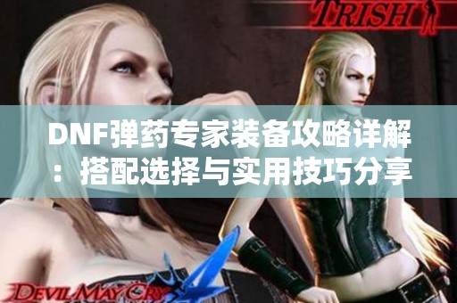 DNF弹药专家装备攻略详解：搭配选择与实用技巧分享
