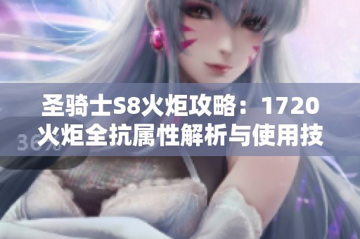 圣骑士S8火炬攻略：1720火炬全抗属性解析与使用技巧