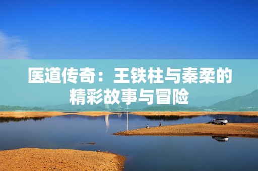 医道传奇：王铁柱与秦柔的精彩故事与冒险
