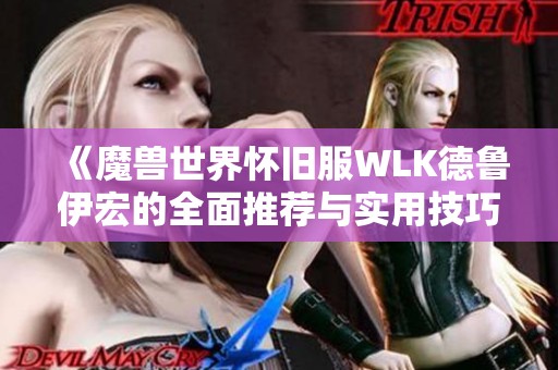 《魔兽世界怀旧服WLK德鲁伊宏的全面推荐与实用技巧》