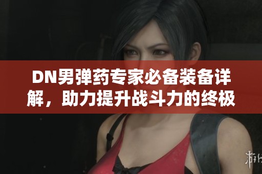 DN男弹药专家必备装备详解，助力提升战斗力的终极指南