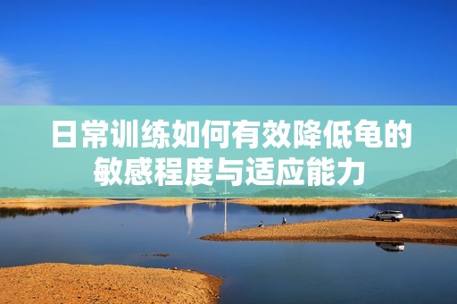 日常训练如何有效降低龟的敏感程度与适应能力