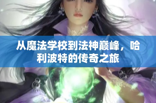 从魔法学校到法神巅峰，哈利波特的传奇之旅