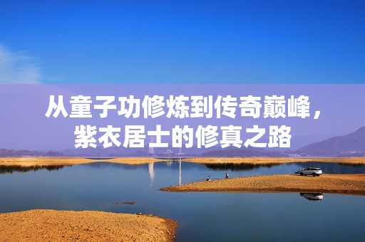 从童子功修炼到传奇巅峰，紫衣居士的修真之路