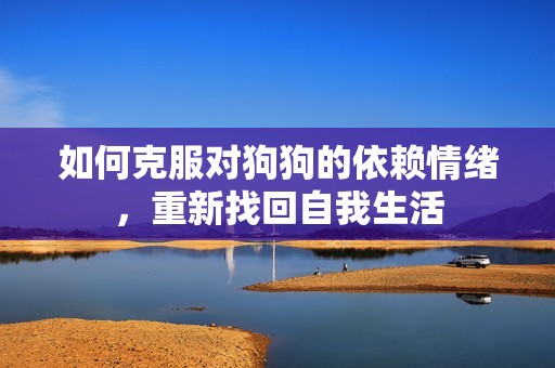如何克服对狗狗的依赖情绪，重新找回自我生活