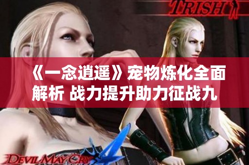 《一念逍遥》宠物炼化全面解析 战力提升助力征战九州