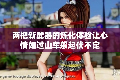 两把新武器的炼化体验让心情如过山车般起伏不定