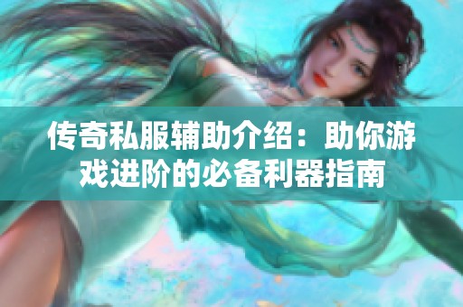 传奇私服辅助介绍：助你游戏进阶的必备利器指南