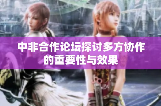 中非合作论坛探讨多方协作的重要性与效果