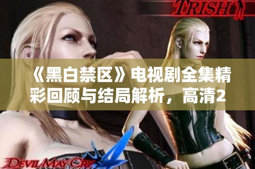 《黑白禁区》电视剧全集精彩回顾与结局解析，高清2K免费观看