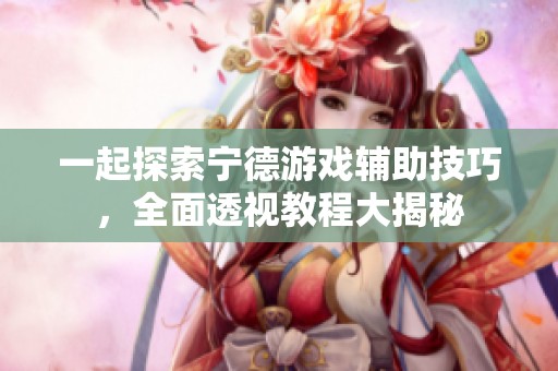 一起探索宁德游戏辅助技巧，全面透视教程大揭秘