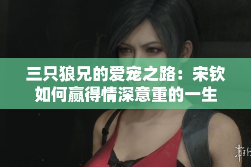 三只狼兄的爱宠之路：宋钦如何赢得情深意重的一生