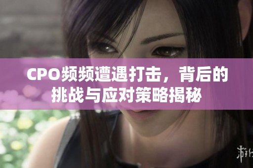 CPO频频遭遇打击，背后的挑战与应对策略揭秘