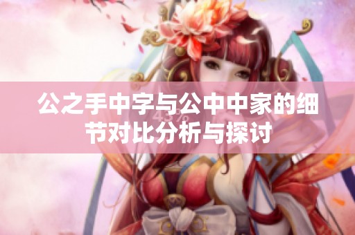 公之手中字与公中中家的细节对比分析与探讨