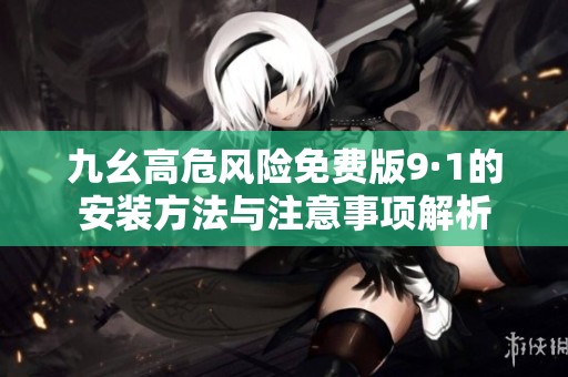 九幺高危风险免费版9·1的安装方法与注意事项解析