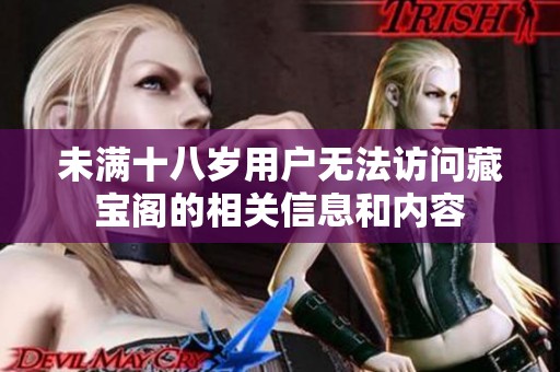 未满十八岁用户无法访问藏宝阁的相关信息和内容