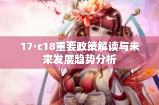 17·c18重要政策解读与未来发展趋势分析