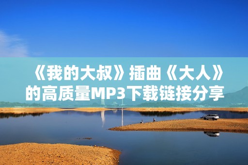 《我的大叔》插曲《大人》的高质量MP3下载链接分享