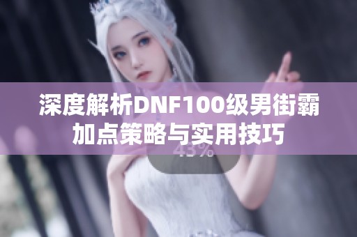 深度解析DNF100级男街霸加点策略与实用技巧