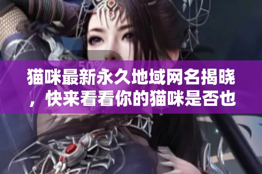 猫咪最新永久地域网名揭晓，快来看看你的猫咪是否也在其中