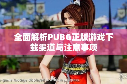 全面解析PUBG正版游戏下载渠道与注意事项