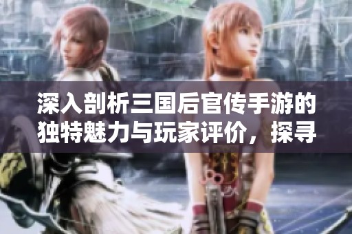 深入剖析三国后官传手游的独特魅力与玩家评价，探寻游戏的趣味性与人气背后的原因