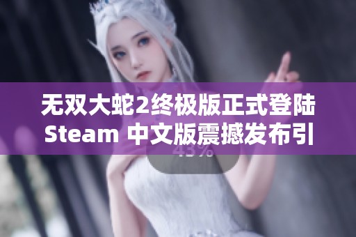 无双大蛇2终极版正式登陆Steam 中文版震撼发布引发玩家热潮