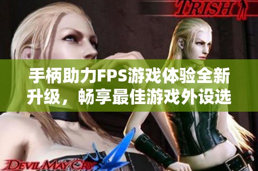 手柄助力FPS游戏体验全新升级，畅享最佳游戏外设选择的深度解析