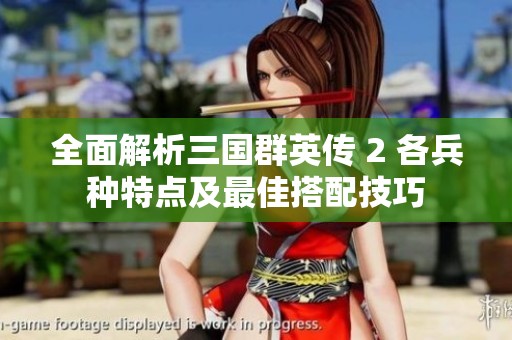 全面解析三国群英传 2 各兵种特点及最佳搭配技巧