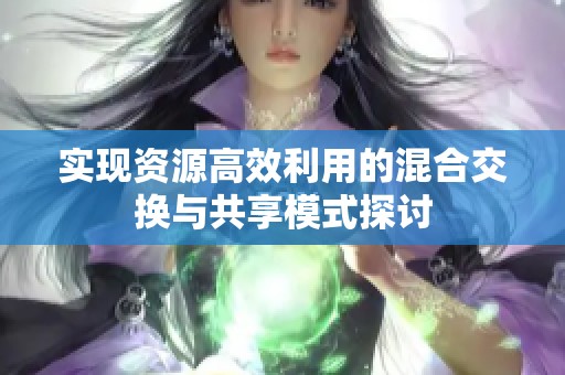 实现资源高效利用的混合交换与共享模式探讨