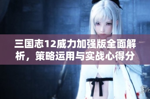 三国志12威力加强版全面解析，策略运用与实战心得分享