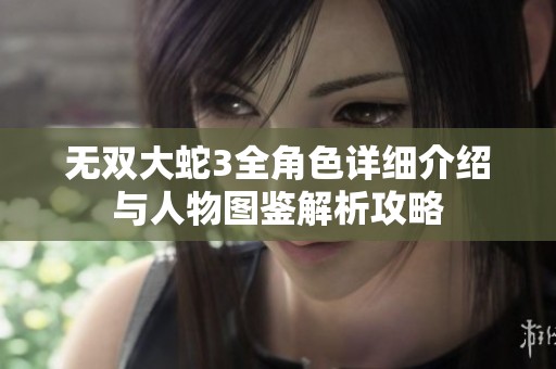 无双大蛇3全角色详细介绍与人物图鉴解析攻略