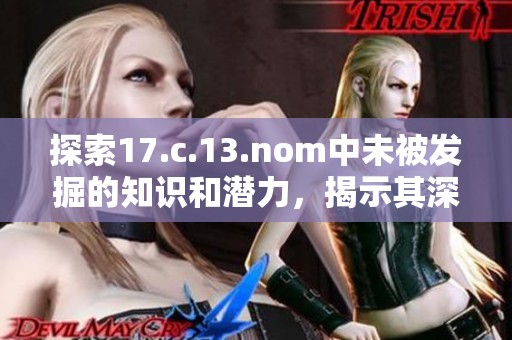 探索17.c.13.nom中未被发掘的知识和潜力，揭示其深层含义与应用价值