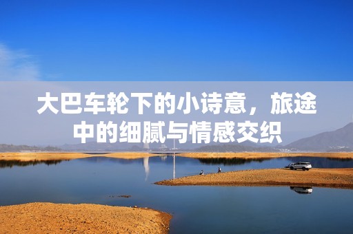大巴车轮下的小诗意，旅途中的细腻与情感交织