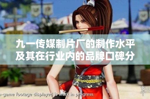 九一传媒制片厂的制作水平及其在行业内的品牌口碑分析与评价