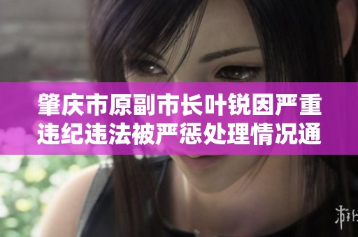 肇庆市原副市长叶锐因严重违纪违法被严惩处理情况通报