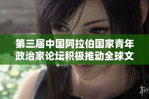 第三届中国阿拉伯国家青年政治家论坛积极推动全球文明倡议宣言落实