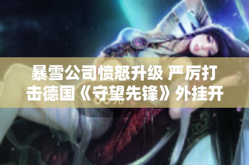 暴雪公司愤怒升级 严厉打击德国《守望先锋》外挂开发商